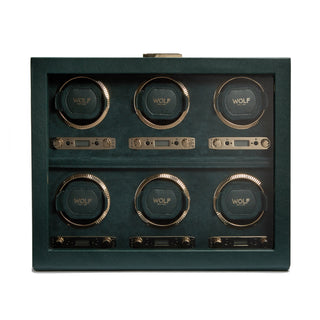 WOLF British Racing 6 Piece Watch Winder | Green