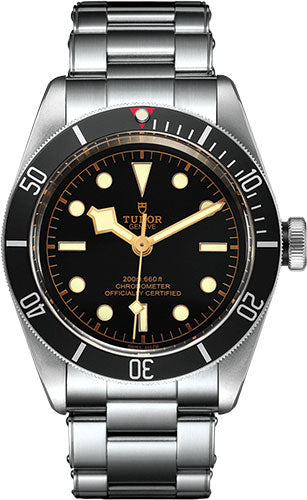 TUDOR BLACK BAY (21 BP) 41MM #79230N